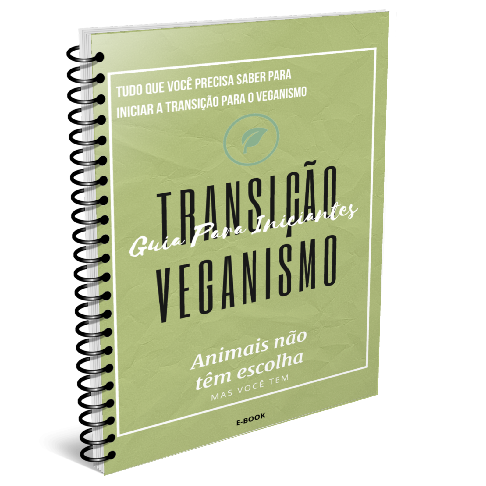 Guia Para Iniciantes